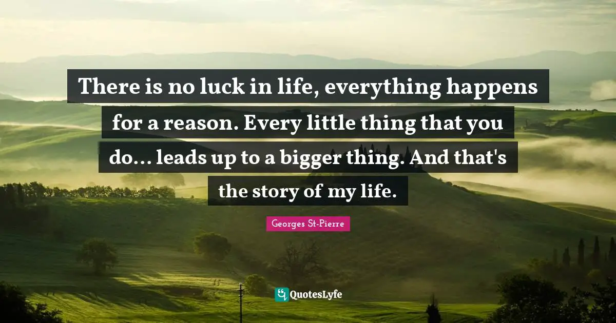 Georges St-Pierre Quotes: "There is no luck in life, everything happens for a reason. Every little thing that you do... leads up to a bigger thing. And that's the story of my life."