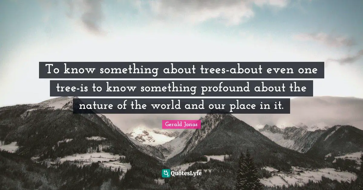 To know something about trees-about even one tree-is to know something profound about the nature of the world and our place in it.