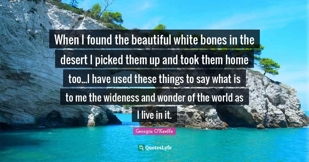 When I found the beautiful white bones in the desert I picked them up and took them home too...I have used these things to say what is to me the wideness and wonder of the world as I live in it.