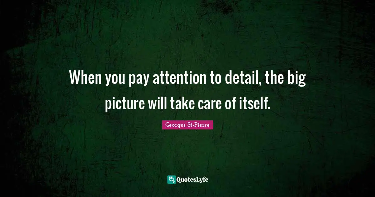 Georges St-Pierre Quotes: "When you pay attention to detail, the big picture will take care of itself."