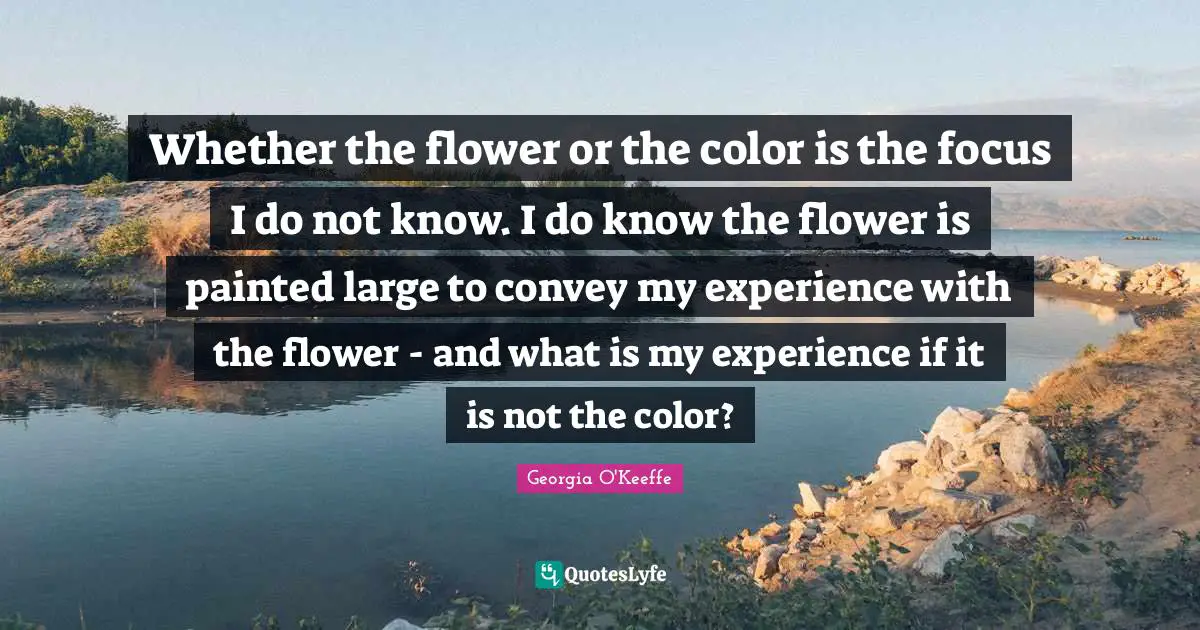 Whether the flower or the color is the focus I do not know. I do know the flower is painted large to convey my experience with the flower - and what is my experience if it is not the color?