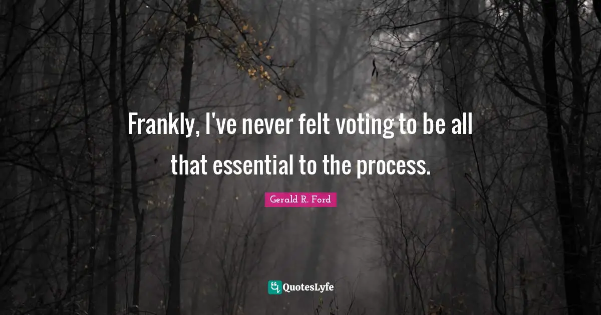 Frankly, I've never felt voting to be all that essential to the process.