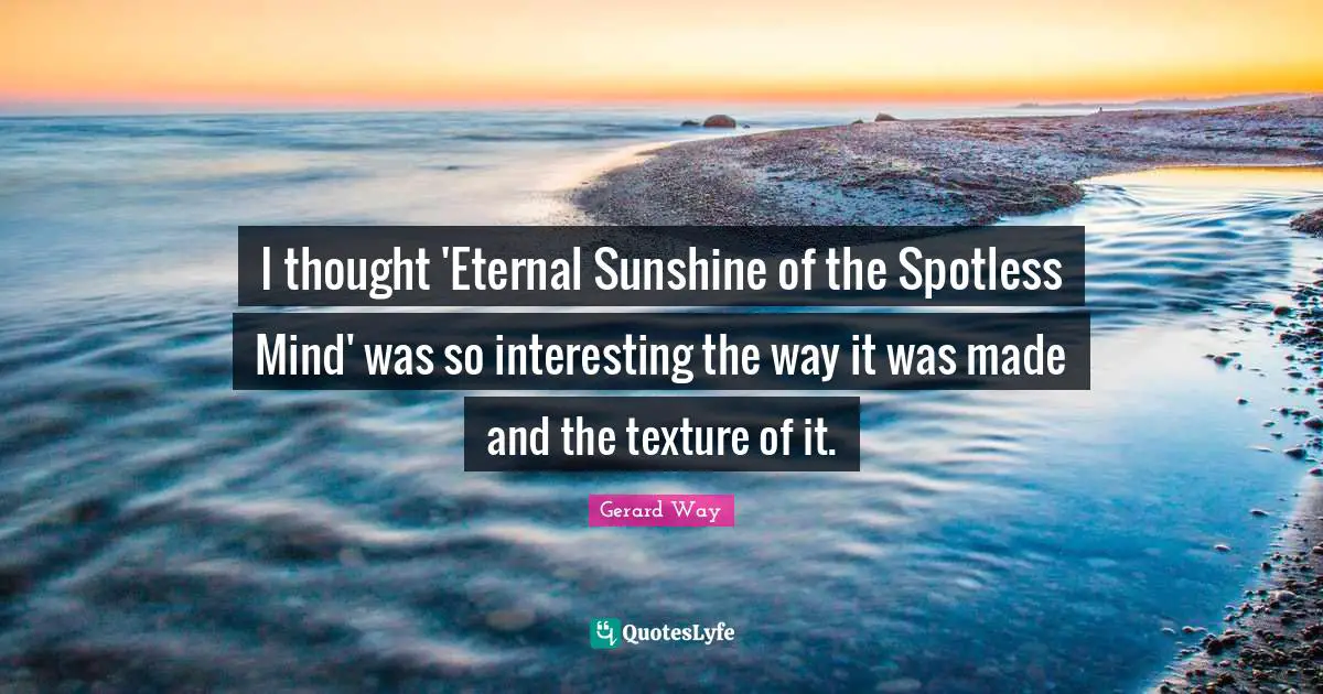 I thought 'Eternal Sunshine of the Spotless Mind' was so interesting the way it was made and the texture of it.