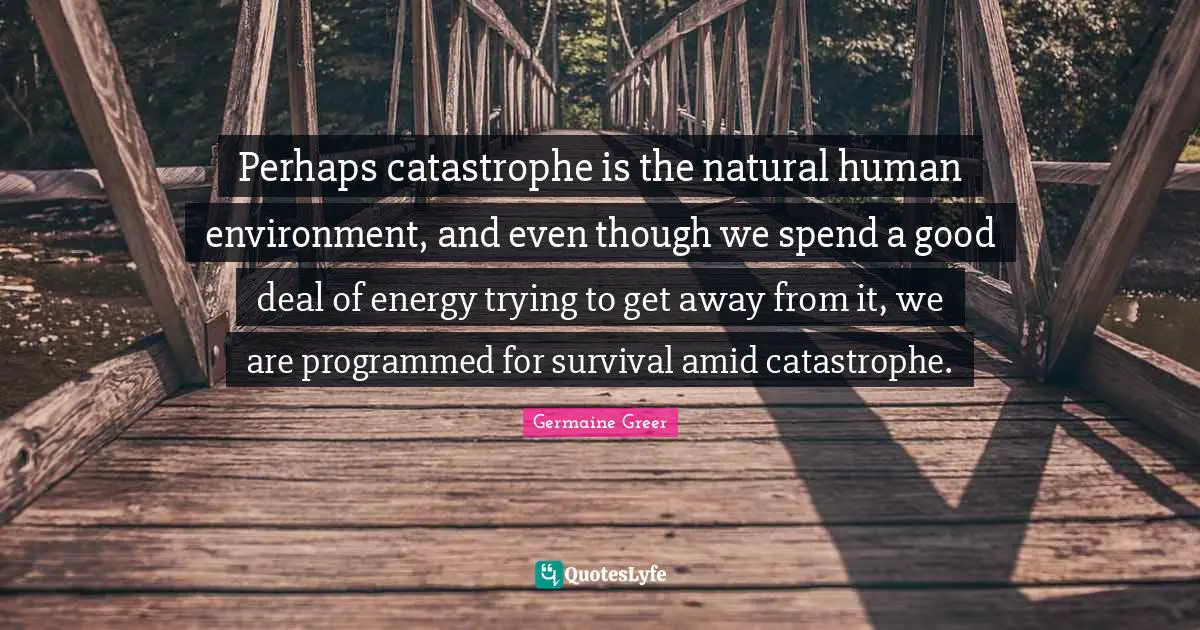 Perhaps catastrophe is the natural human environment, and even though we spend a good deal of energy trying to get away from it, we are programmed for survival amid catastrophe.