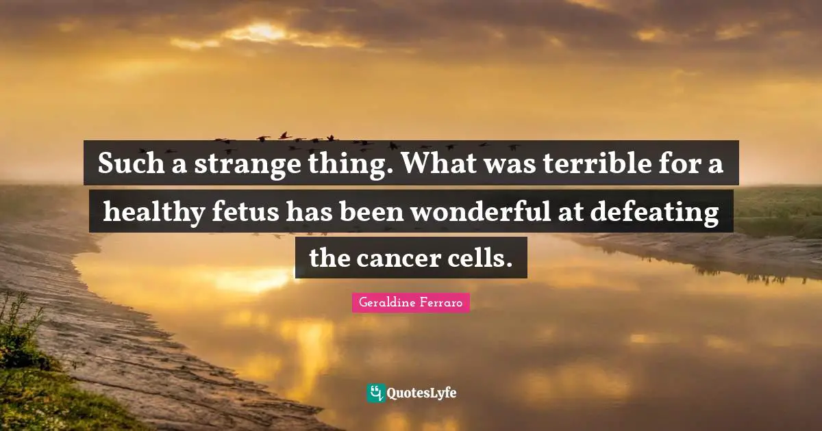 Such a strange thing. What was terrible for a healthy fetus has been wonderful at defeating the cancer cells.