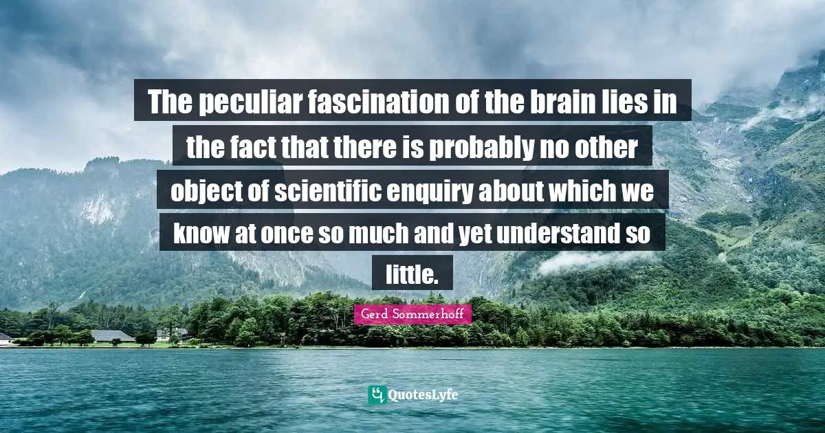 The peculiar fascination of the brain lies in the fact that there is probably no other object of scientific enquiry about which we know at once so much and yet understand so little.