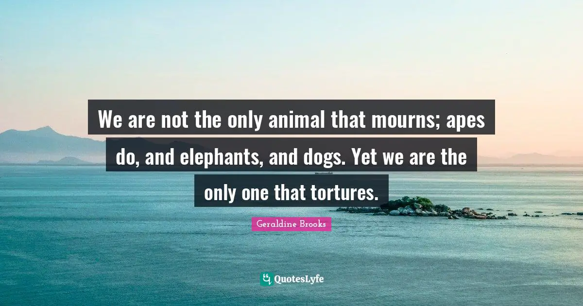 We are not the only animal that mourns; apes do, and elephants, and dogs. Yet we are the only one that tortures.