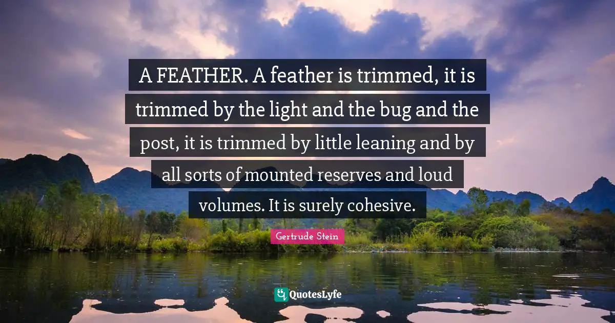 A FEATHER. A feather is trimmed, it is trimmed by the light and the bug and the post, it is trimmed by little leaning and by all sorts of mounted reserves and loud volumes. It is surely cohesive.