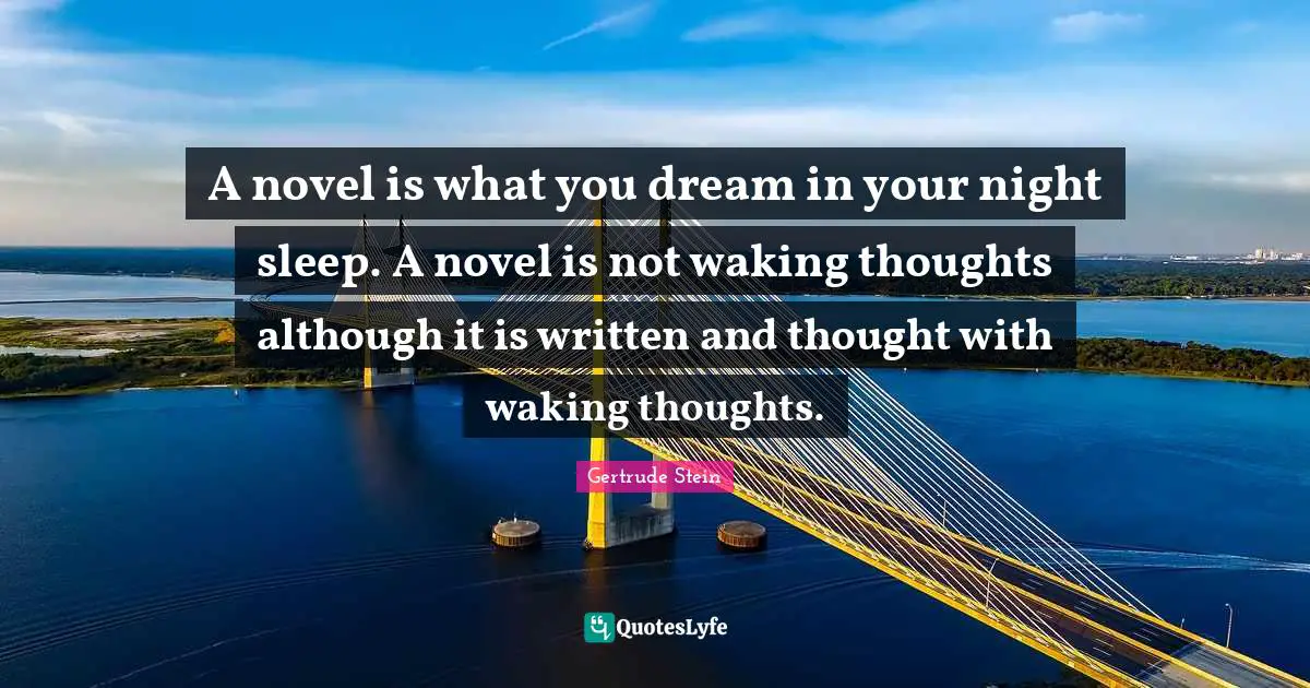 A novel is what you dream in your night sleep. A novel is not waking thoughts although it is written and thought with waking thoughts.