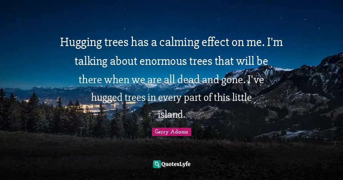 Hugging trees has a calming effect on me. I'm talking about enormous trees that will be there when we are all dead and gone. I've hugged trees in every part of this little island.