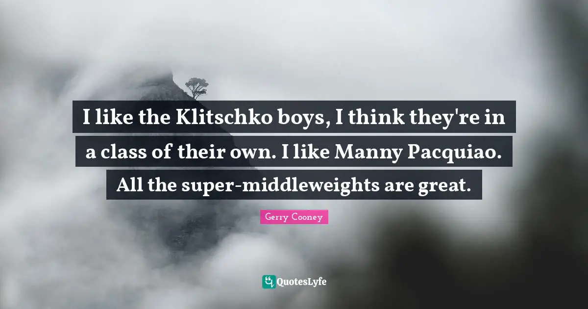 I like the Klitschko boys, I think they're in a class of their own. I like Manny Pacquiao. All the super-middleweights are great.