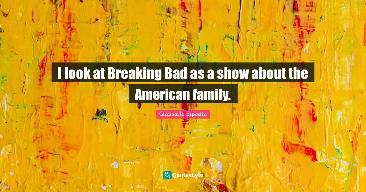 I look at Breaking Bad as a show about the American family.