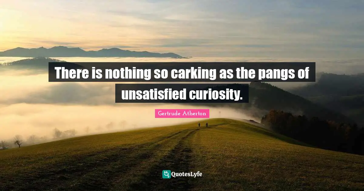 There is nothing so carking as the pangs of unsatisfied curiosity.