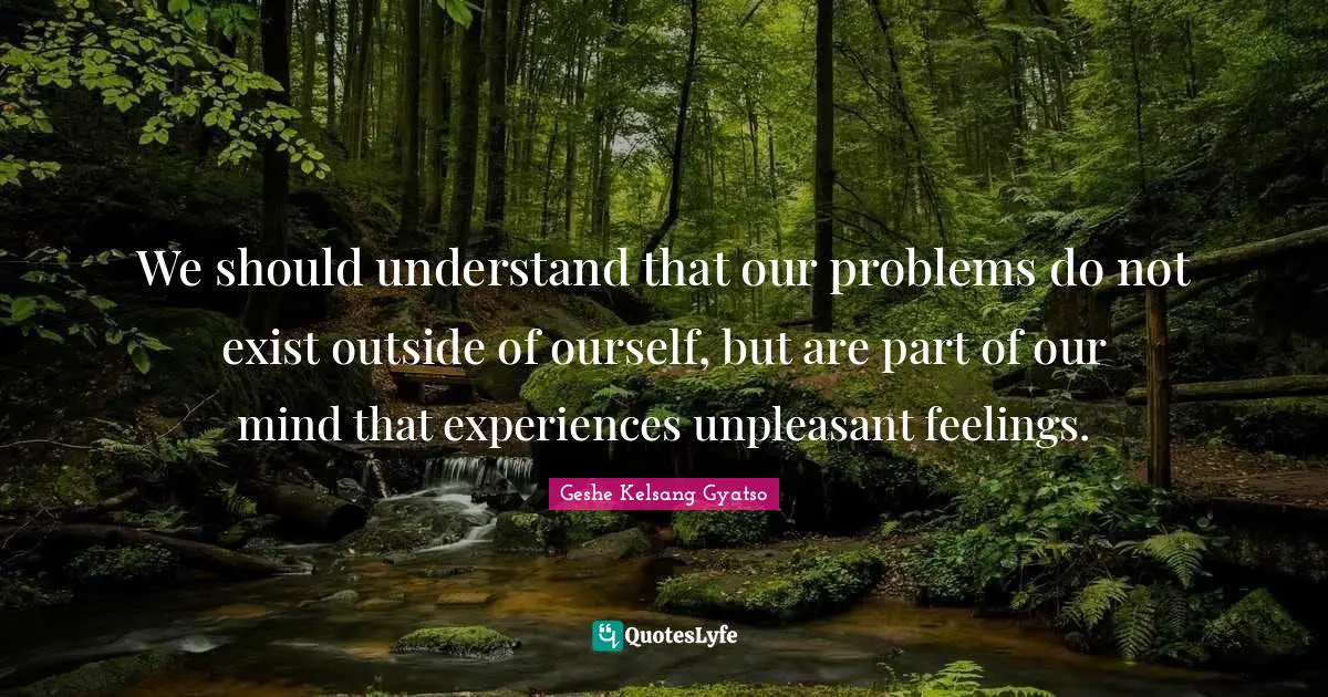 We should understand that our problems do not exist outside of ourself, but are part of our mind that experiences unpleasant feelings.