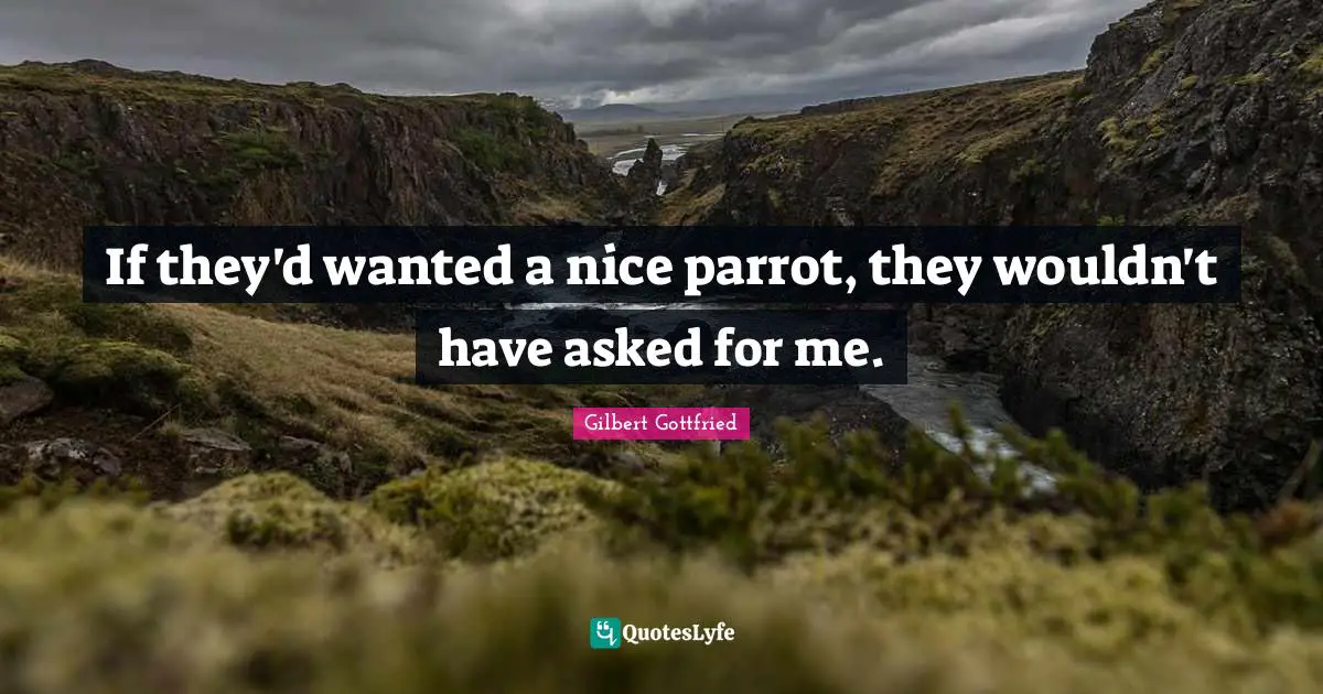 Parrots Quotes: "If they'd wanted a nice parrot, they wouldn't have asked for me."