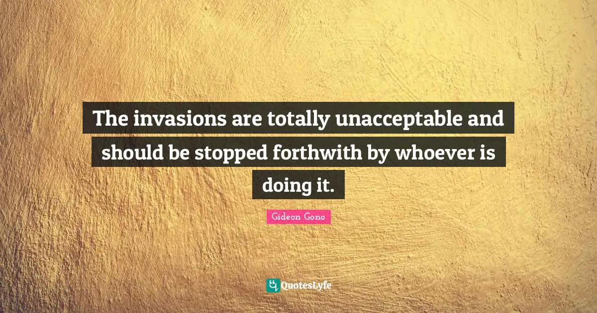 The invasions are totally unacceptable and should be stopped forthwith by whoever is doing it.