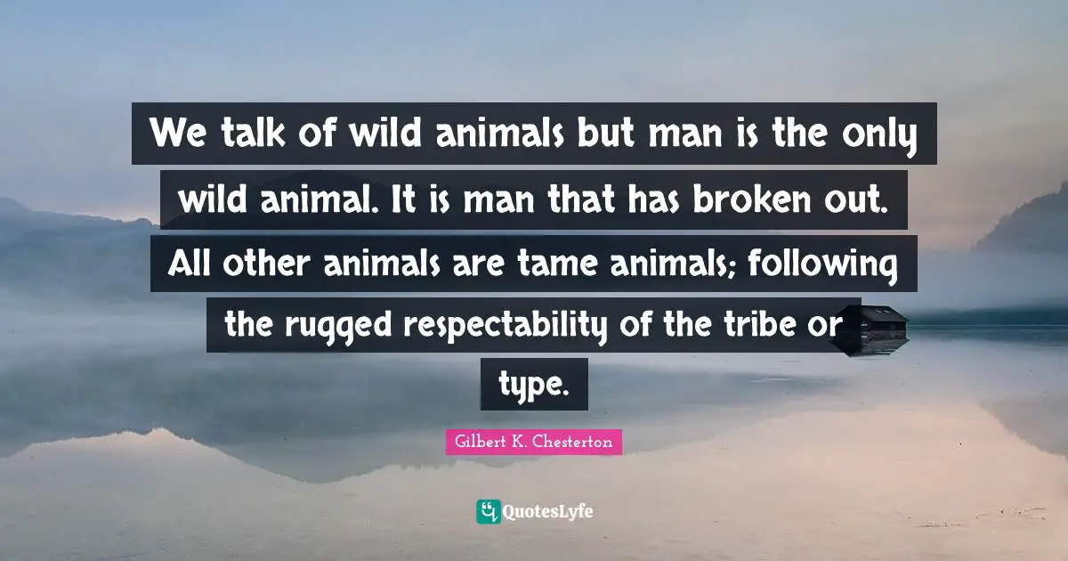 We talk of wild animals but man is the only wild animal. It is man that has broken out. All other animals are tame animals; following the rugged respectability of the tribe or type.