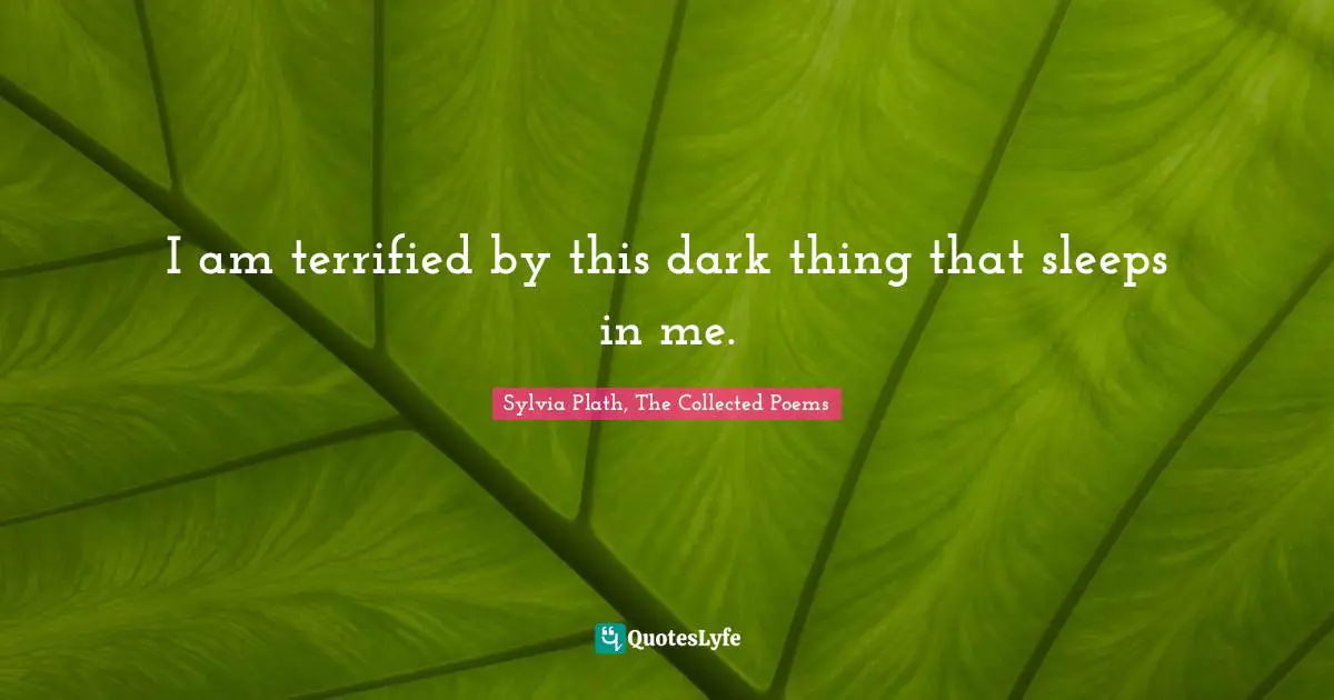 I am terrified by this dark thing that sleeps in me.