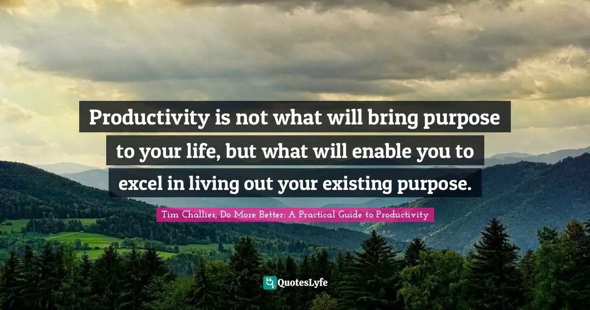 Productivity is not what will bring purpose to your life, but what will enable you to excel in living out your existing purpose.
