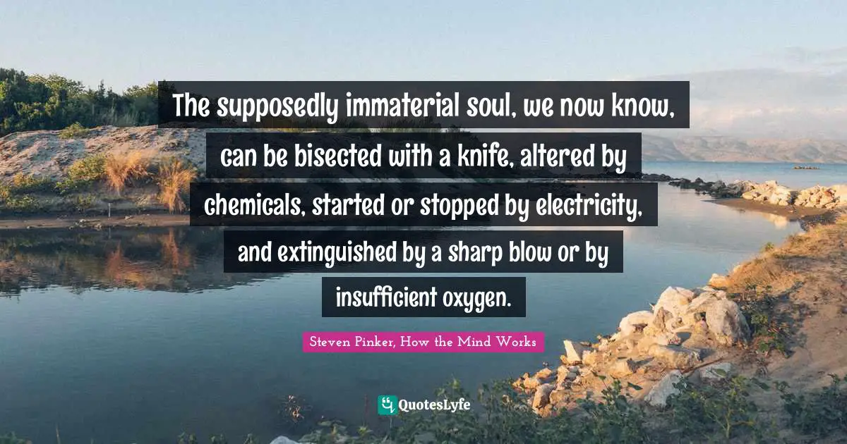 Steven Pinker, How The Mind Works Quotes: "The supposedly immaterial soul, we now know, can be bisected with a knife, altered by chemicals, started or stopped by electricity, and extinguished by a sharp blow or by insufficient oxygen."