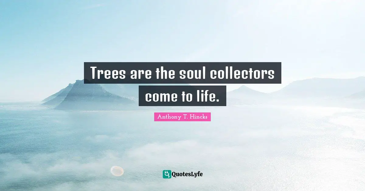 Trees are the soul collectors come to life.