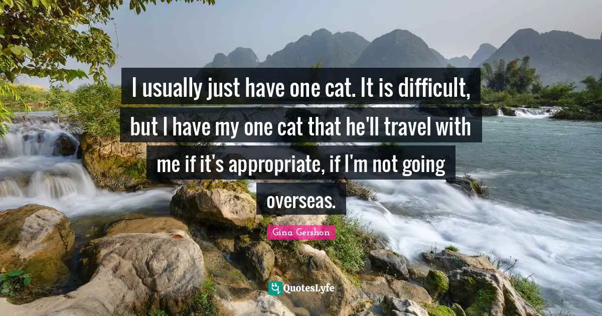 I usually just have one cat. It is difficult, but I have my one cat that he'll travel with me if it's appropriate, if I'm not going overseas.