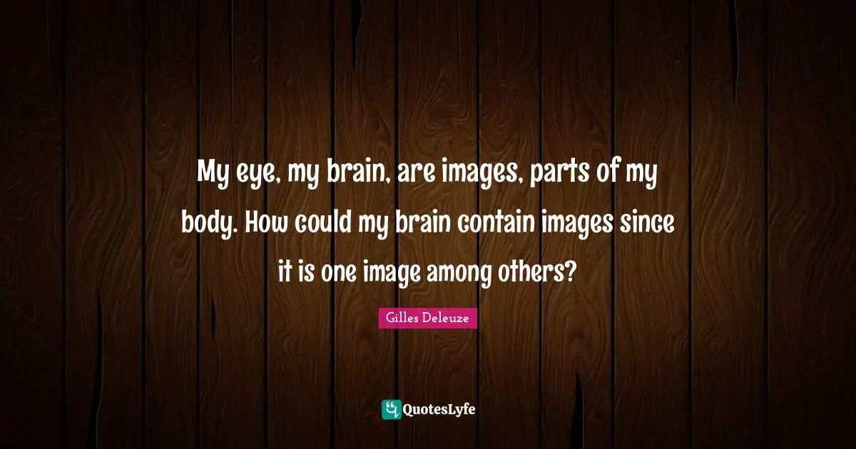 My eye, my brain, are images, parts of my body. How could my brain contain images since it is one image among others?