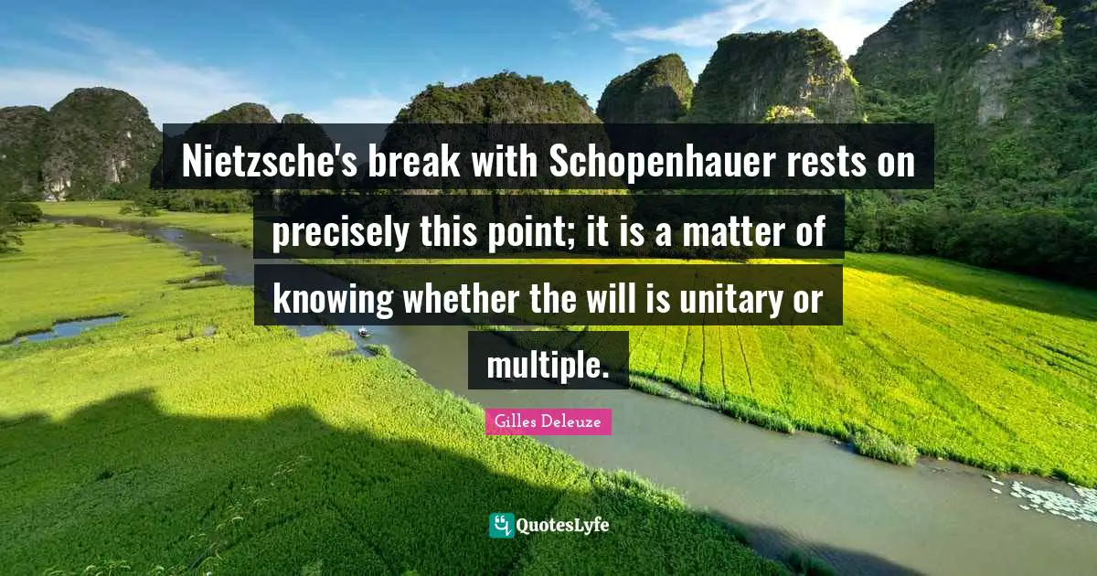 Nietzsche's break with Schopenhauer rests on precisely this point; it is a matter of knowing whether the will is unitary or multiple.