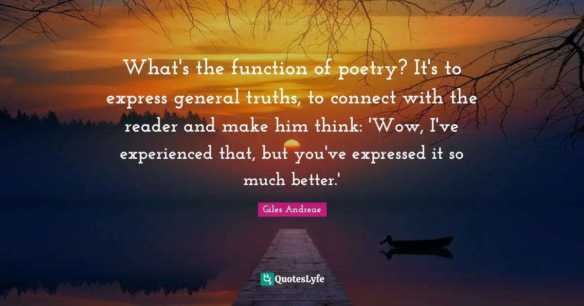 What's the function of poetry? It's to express general truths, to connect with the reader and make him think: 'Wow, I've experienced that, but you've expressed it so much better.'