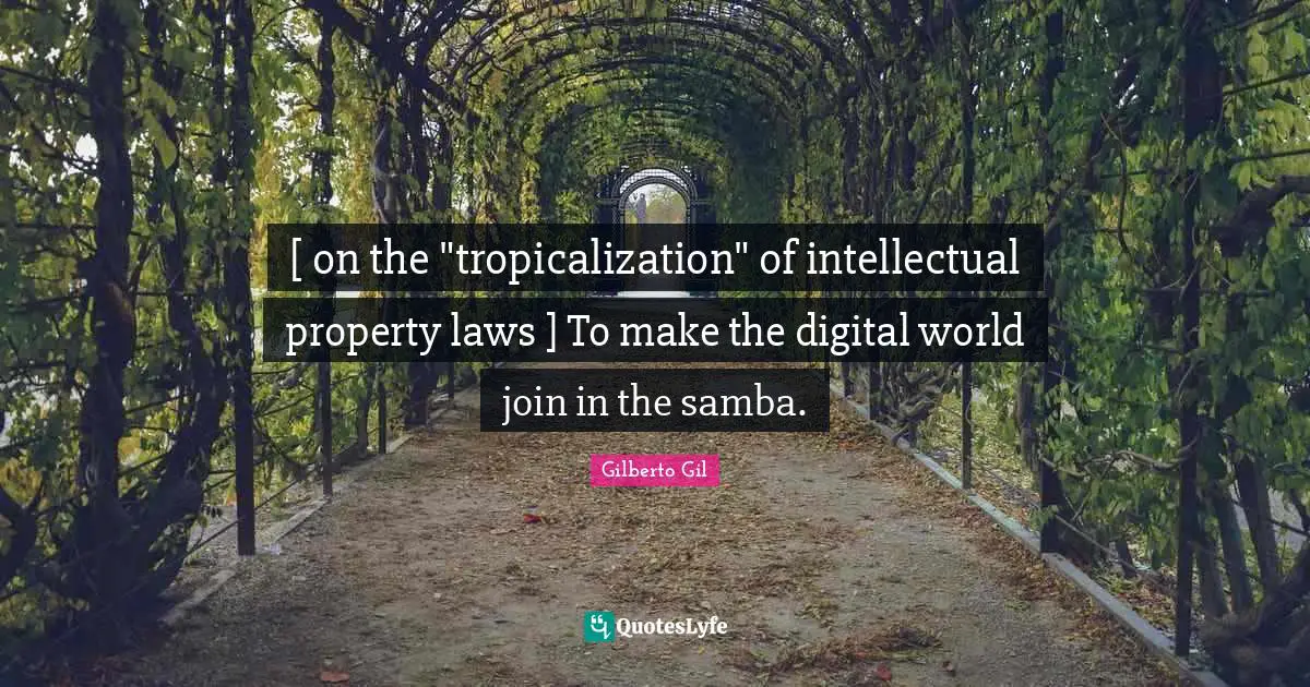 [ on the "tropicalization" of intellectual property laws ] To make the digital world join in the samba.