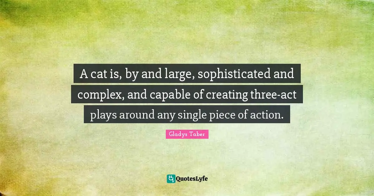 A cat is, by and large, sophisticated and complex, and capable of creating three-act plays around any single piece of action.