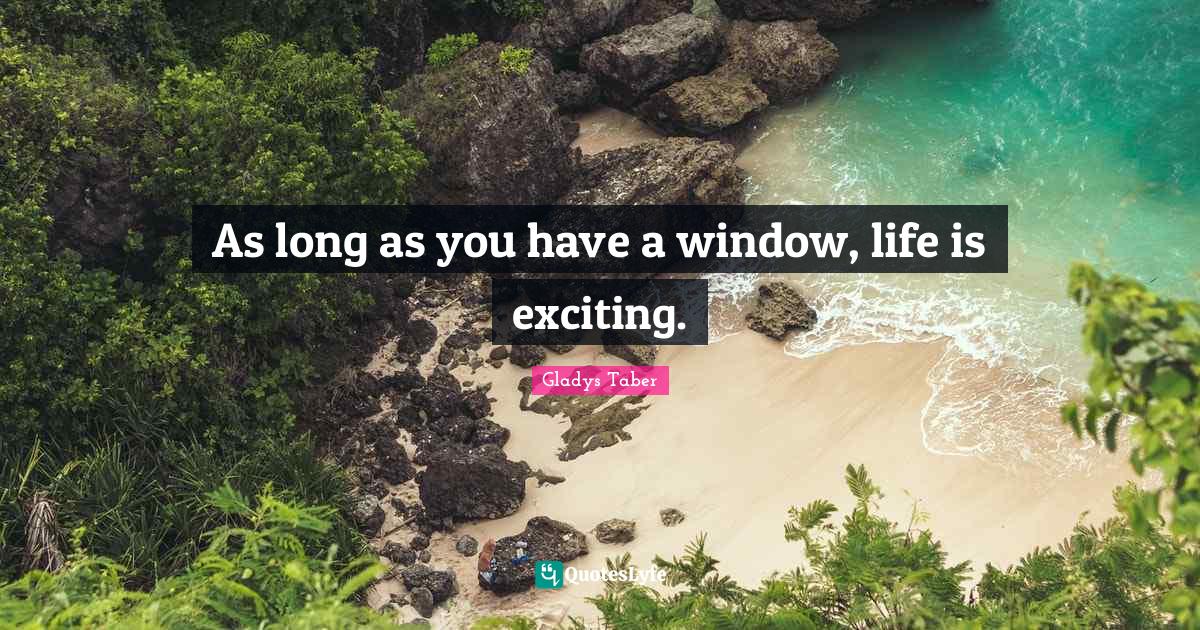 As long as you have a window, life is exciting.