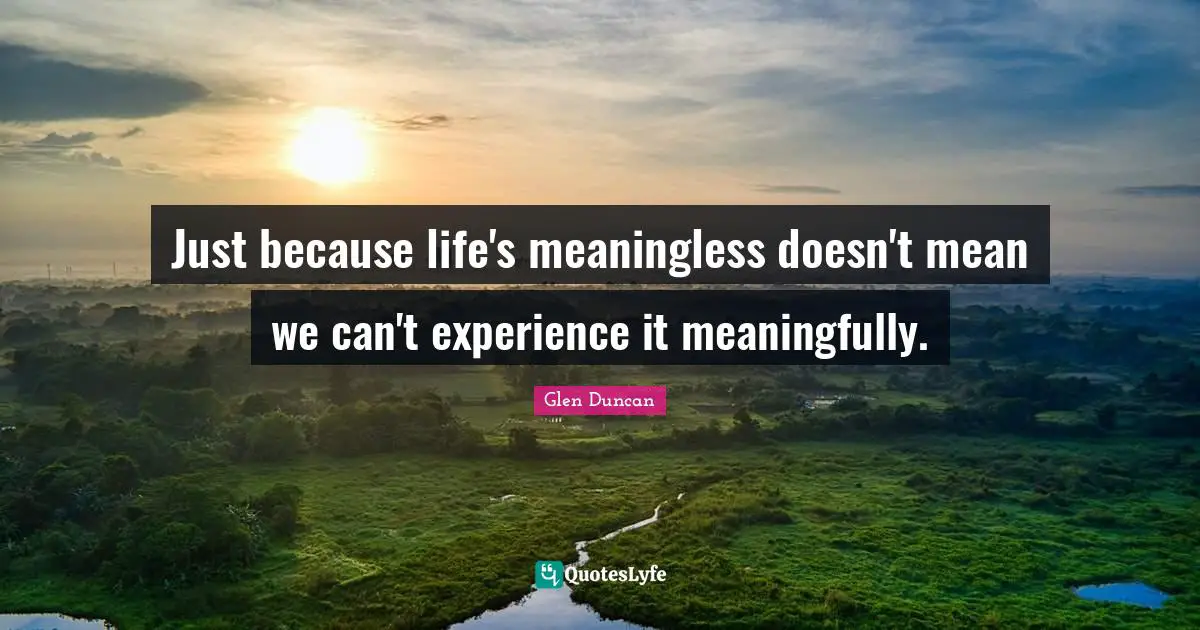 Just because life's meaningless doesn't mean we can't experience it meaningfully.
