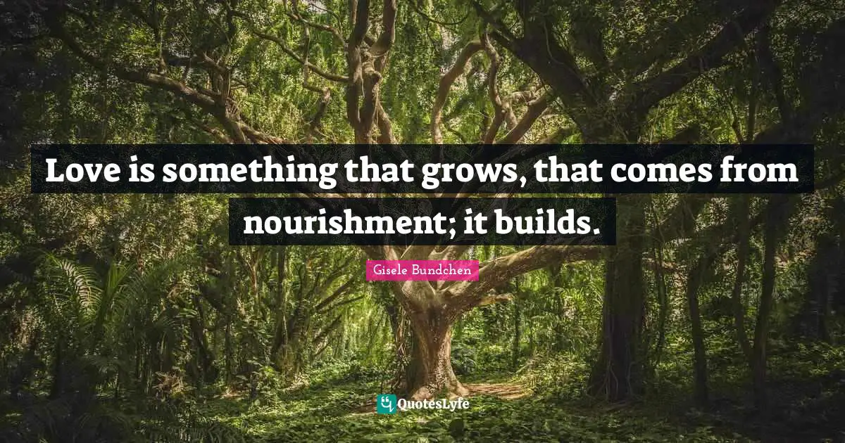 Love is something that grows, that comes from nourishment; it builds.