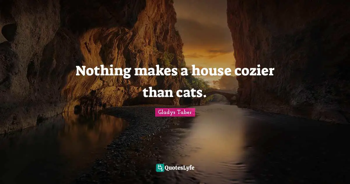 Nothing makes a house cozier than cats.