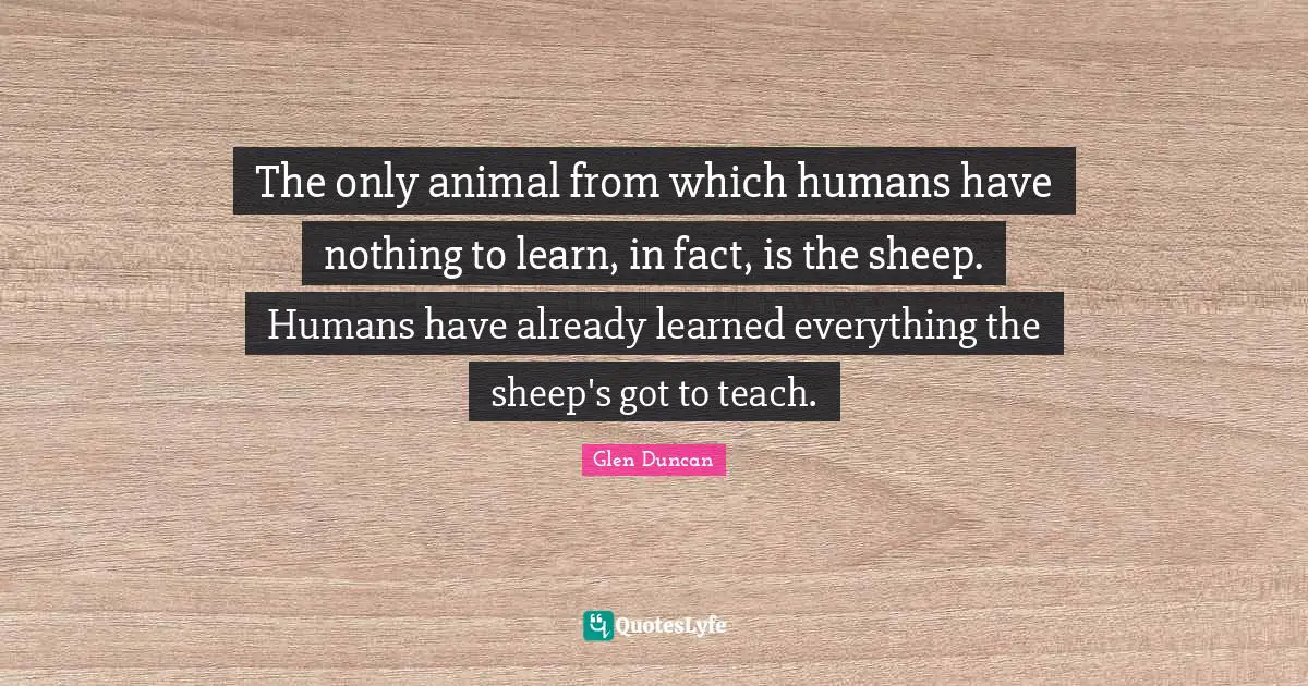 The only animal from which humans have nothing to learn, in fact, is the sheep. Humans have already learned everything the sheep's got to teach.