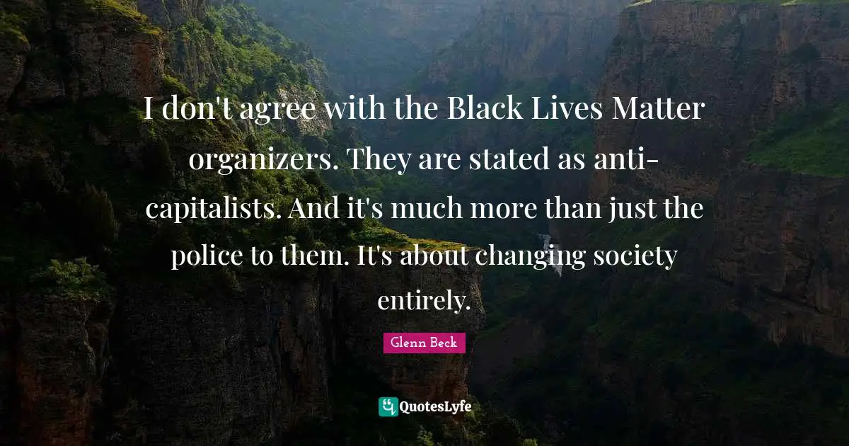 I don't agree with the Black Lives Matter organizers. They are stated as anti-capitalists. And it's much more than just the police to them. It's about changing society entirely.