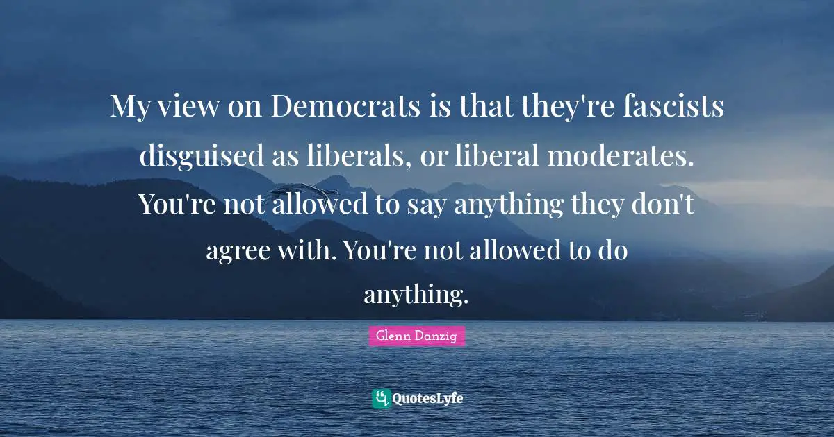 My view on Democrats is that they're fascists disguised as liberals, or liberal moderates. You're not allowed to say anything they don't agree with. You're not allowed to do anything.
