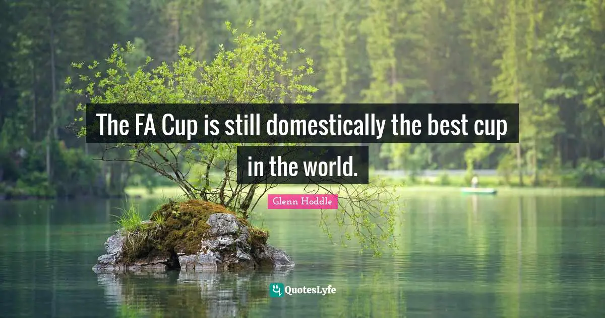 The FA Cup is still domestically the best cup in the world.