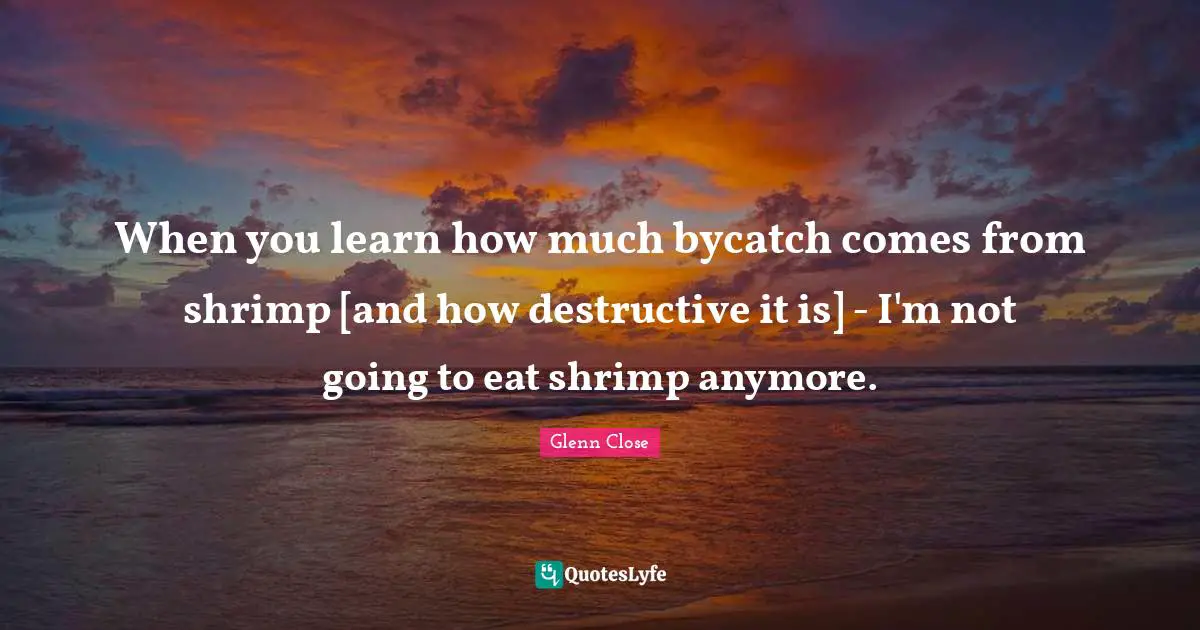 When you learn how much bycatch comes from shrimp [and how destructive it is] - I'm not going to eat shrimp anymore.