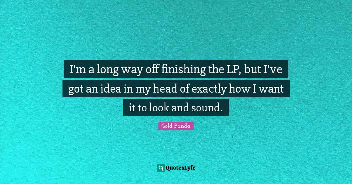 I'm a long way off finishing the LP, but I've got an idea in my head of exactly how I want it to look and sound.
