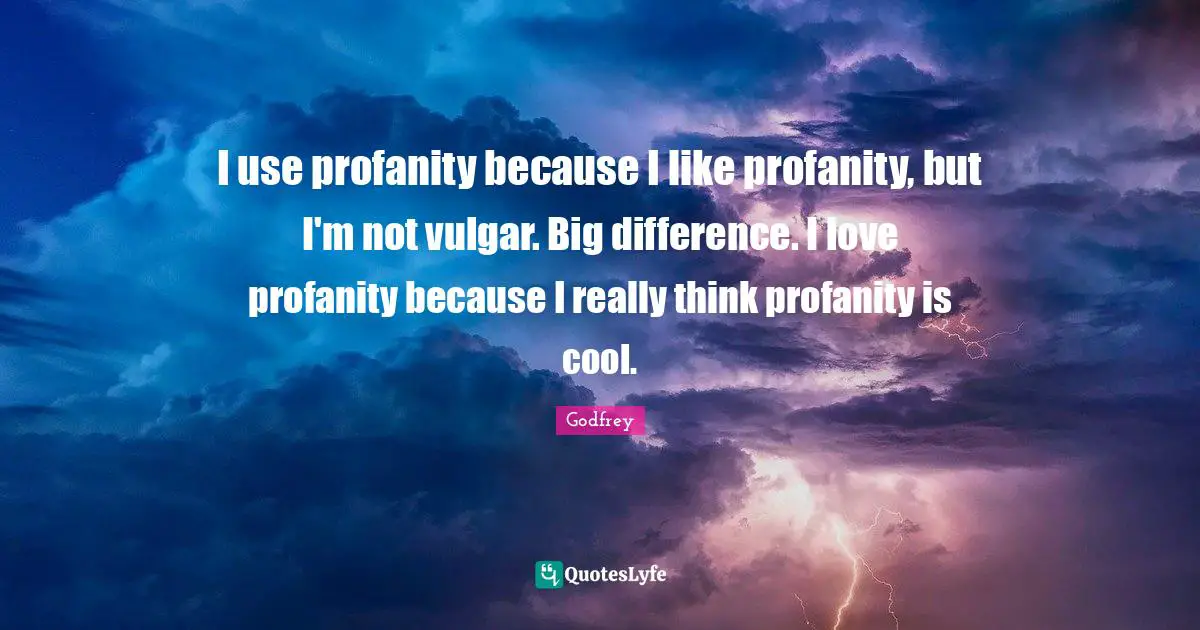 I use profanity because I like profanity, but I'm not vulgar. Big difference. I love profanity because I really think profanity is cool.