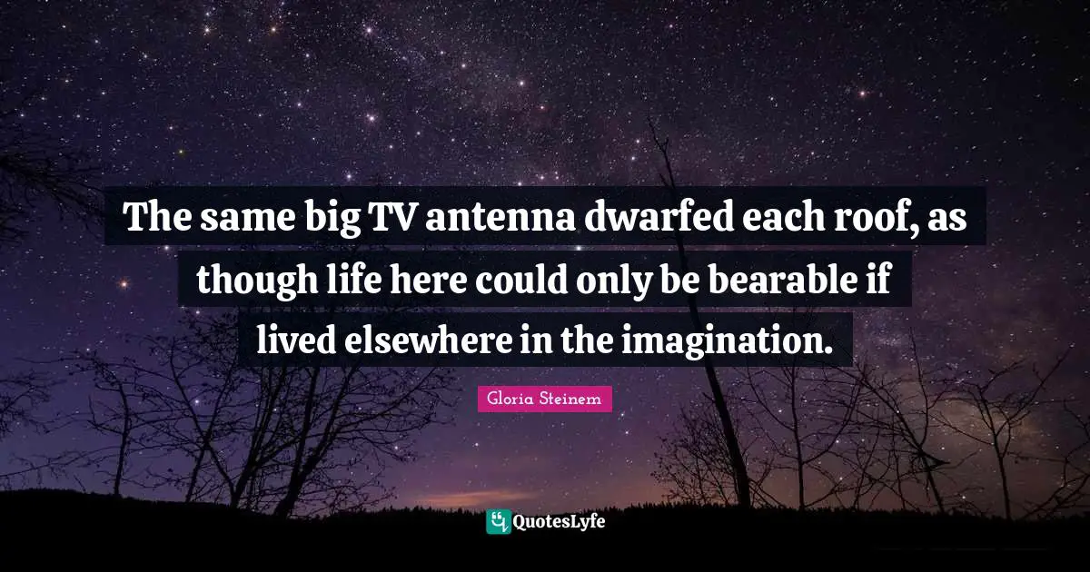 The same big TV antenna dwarfed each roof, as though life here could only be bearable if lived elsewhere in the imagination.