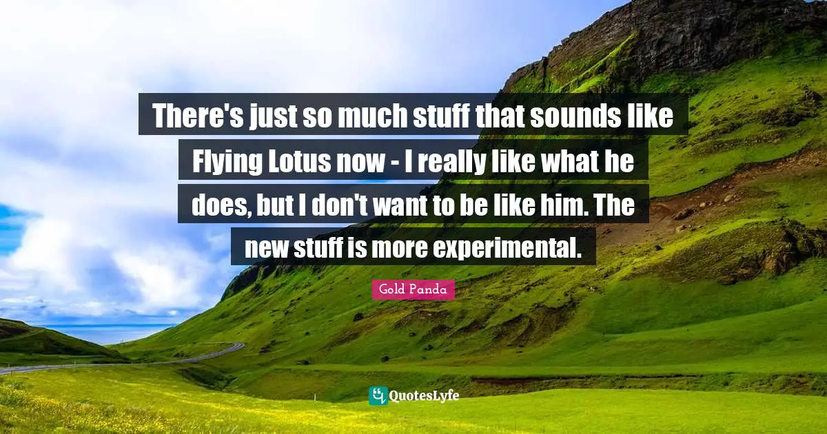 There's just so much stuff that sounds like Flying Lotus now - I really like what he does, but I don't want to be like him. The new stuff is more experimental.