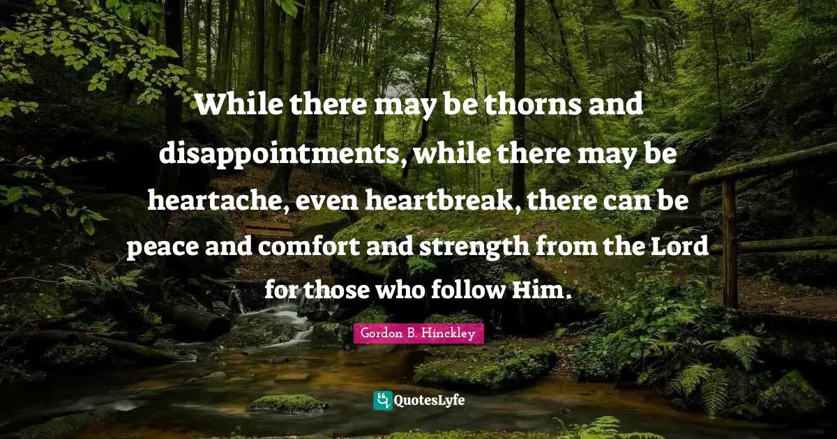 While there may be thorns and disappointments, while there may be heartache, even heartbreak, there can be peace and comfort and strength from the Lord for those who follow Him.