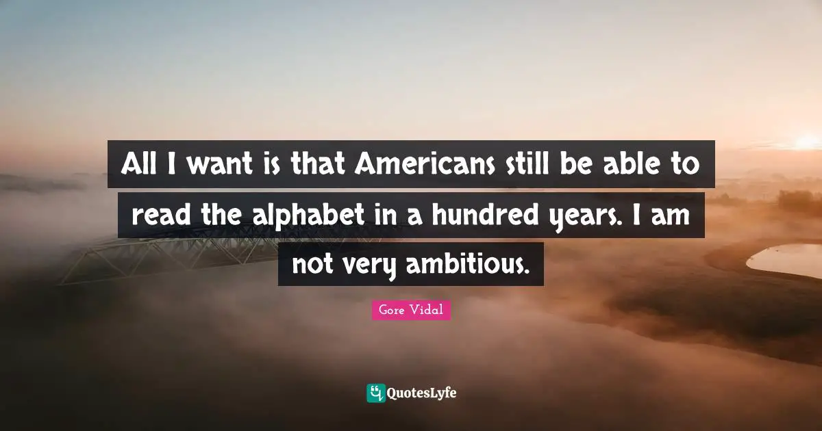 All I want is that Americans still be able to read the alphabet in a hundred years. I am not very ambitious.