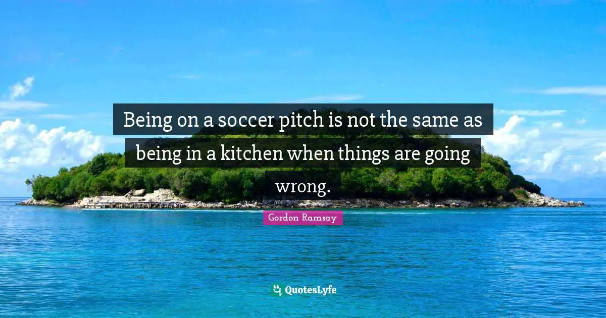 Being on a soccer pitch is not the same as being in a kitchen when things are going wrong.