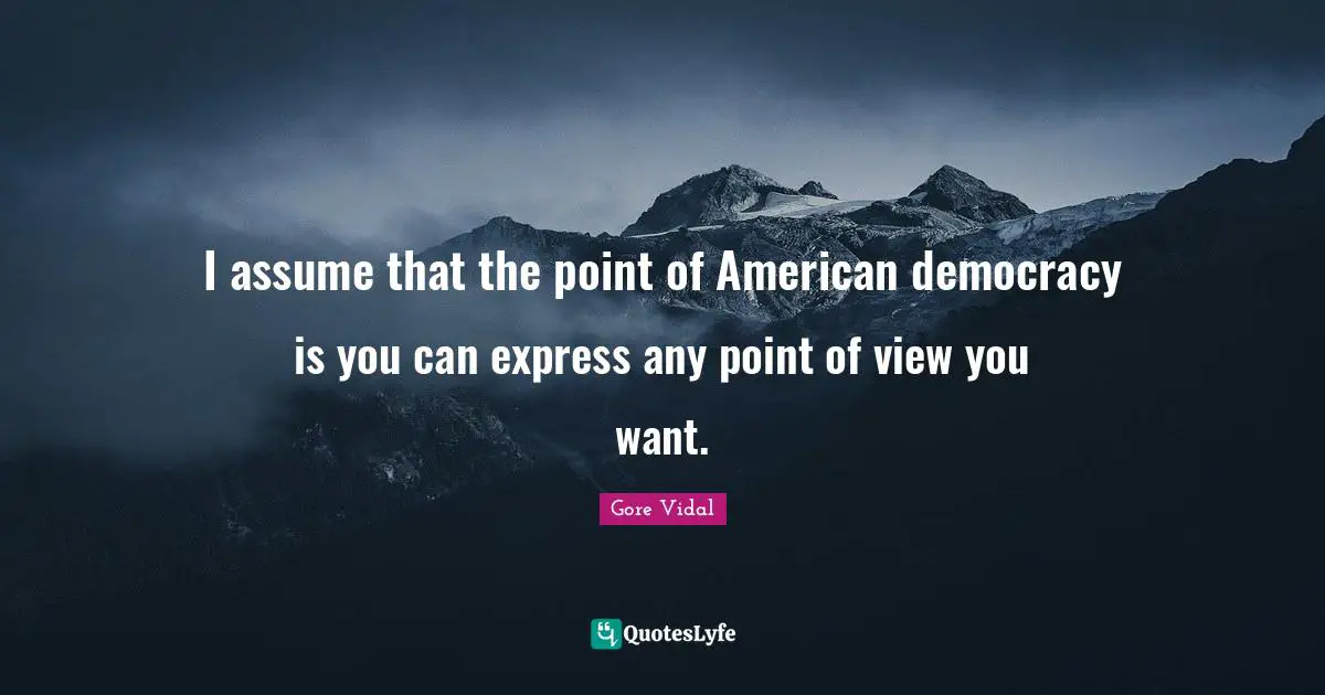 I assume that the point of American democracy is you can express any point of view you want.