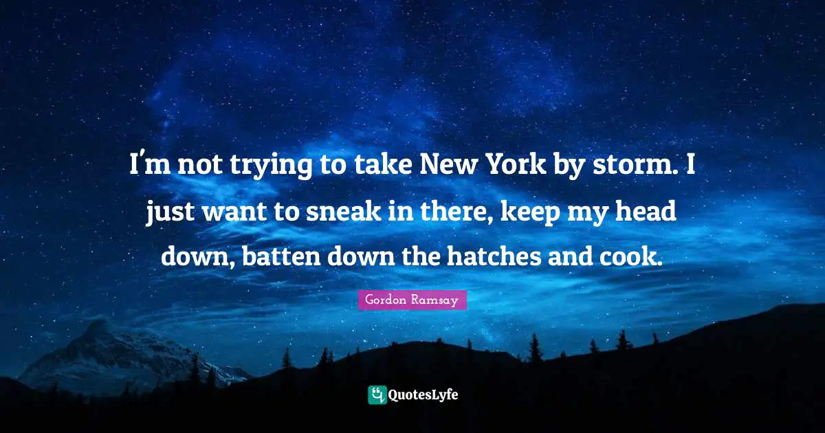 I'm not trying to take New York by storm. I just want to sneak in there, keep my head down, batten down the hatches and cook.