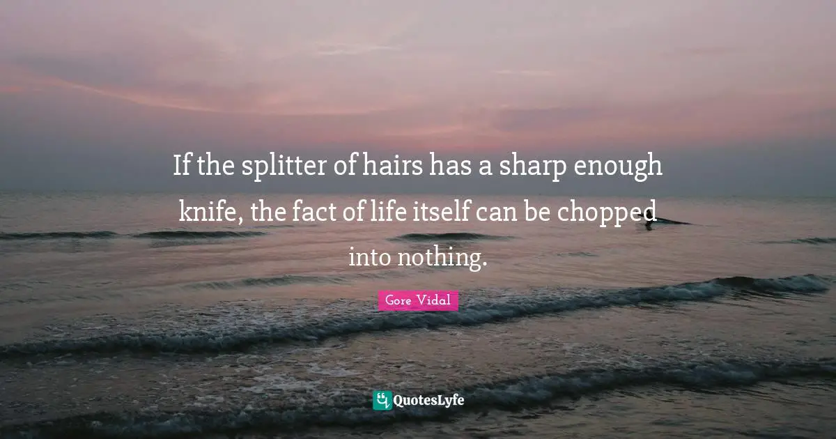 If the splitter of hairs has a sharp enough knife, the fact of life itself can be chopped into nothing.